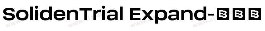 SolidenTrial Expand字体转换